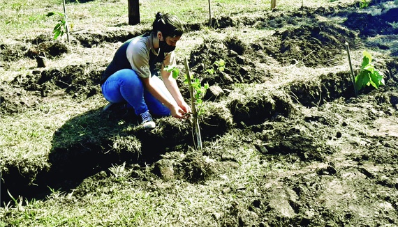 COMASA realiza plantio de árvoes em nascentes de Santa Rita de Passa a Quatro