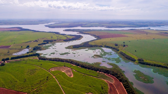 No Dia Mundial do Meio Ambiente, GS Inima SAMAR anuncia estudo sobre o ribeirão Baguaçu