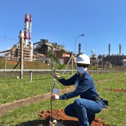 GS Inima Industrial Triunfo