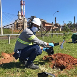 GS Inima Industrial Triunfo